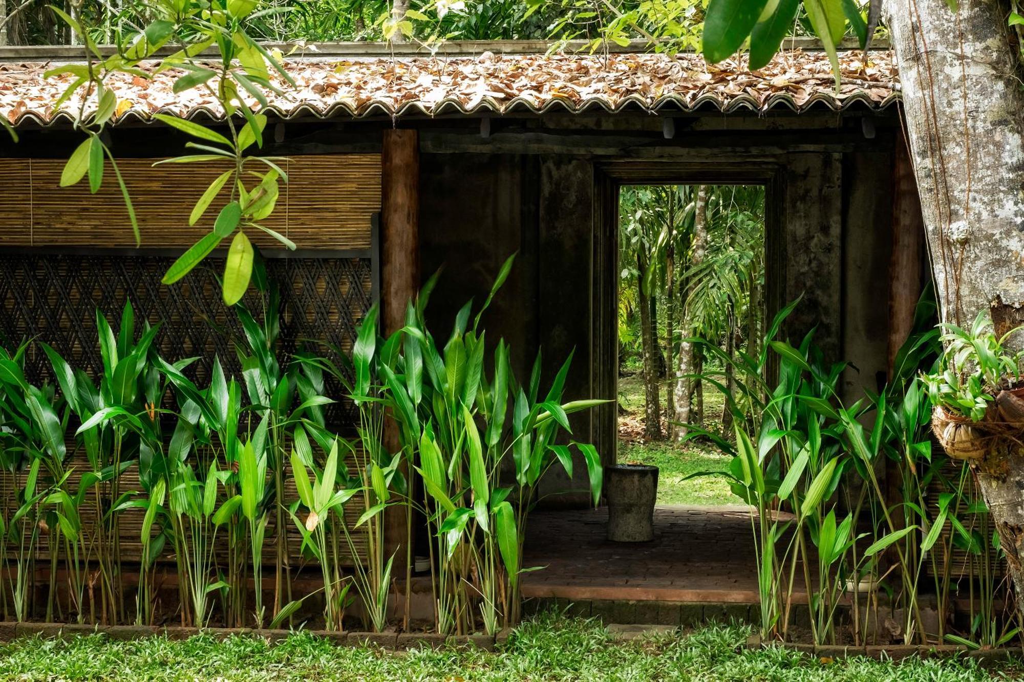 Nisala Arana Boutique Hotel Bentota Bagian luar foto