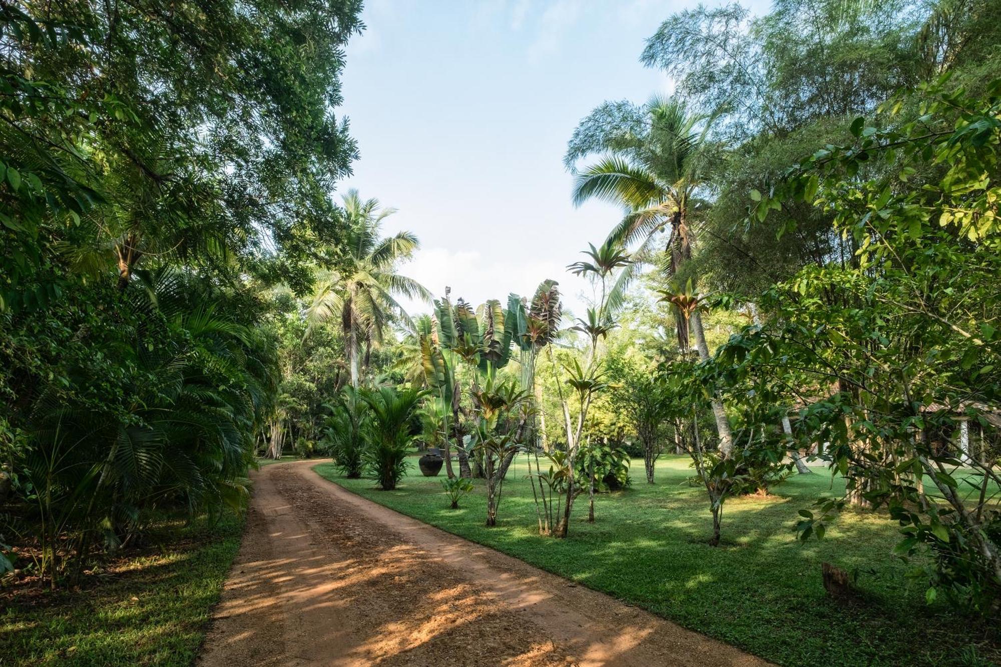 Nisala Arana Boutique Hotel Bentota Bagian luar foto