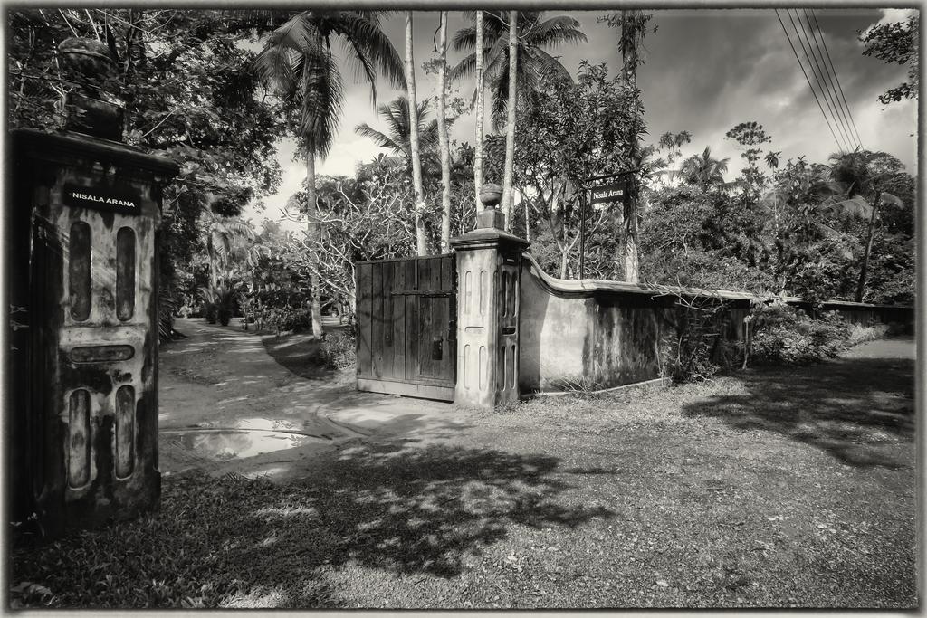 Nisala Arana Boutique Hotel Bentota Bagian luar foto