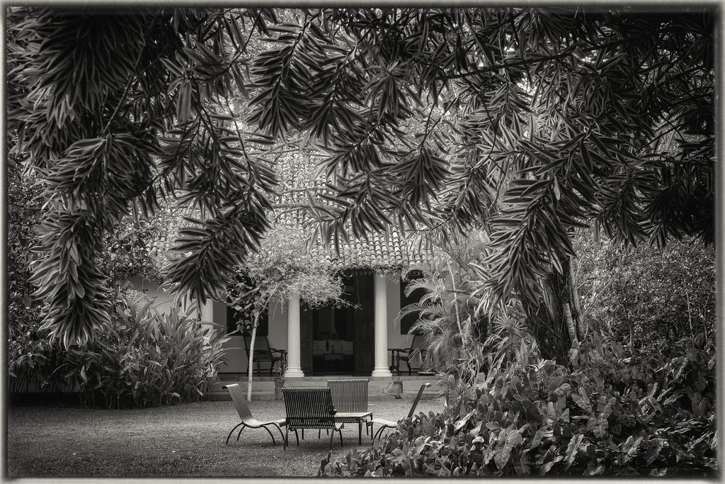 Nisala Arana Boutique Hotel Bentota Bagian luar foto