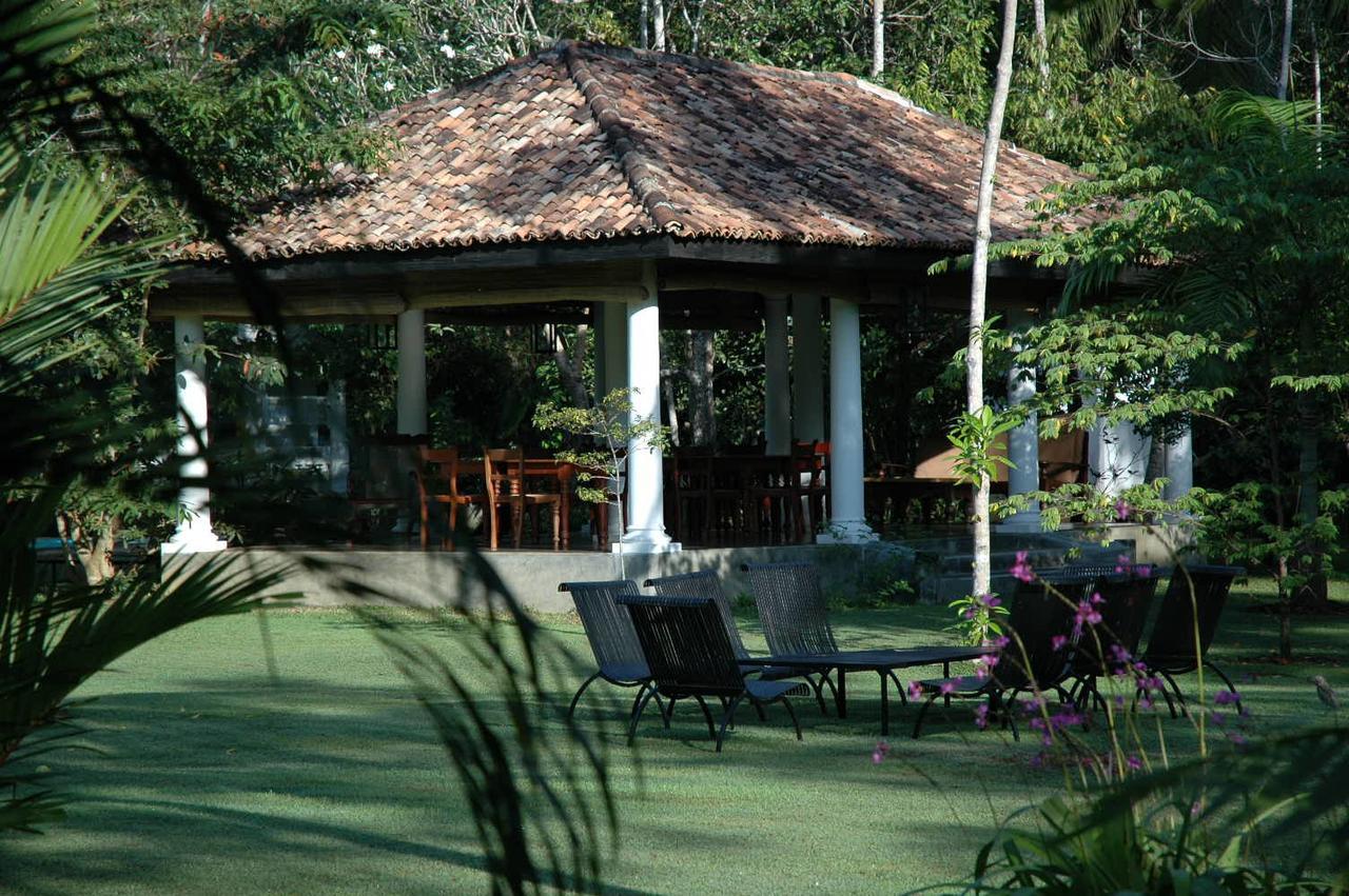 Nisala Arana Boutique Hotel Bentota Bagian luar foto