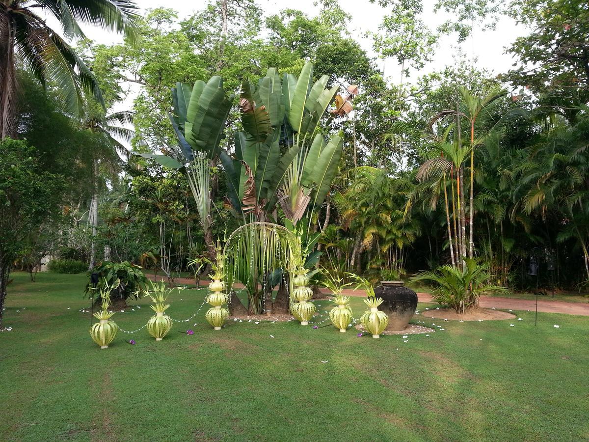 Nisala Arana Boutique Hotel Bentota Bagian luar foto